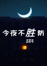今夜不寂寞